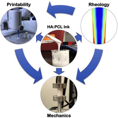 Optimizing rheological properties for printability: low-temperature extrusion 3D printing of hydroxyapatite-polycaprolactone mixture inks for bone tissue engineering